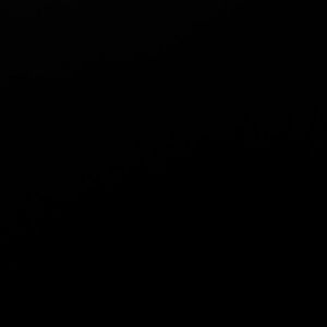 Meet your Posher, Cesar